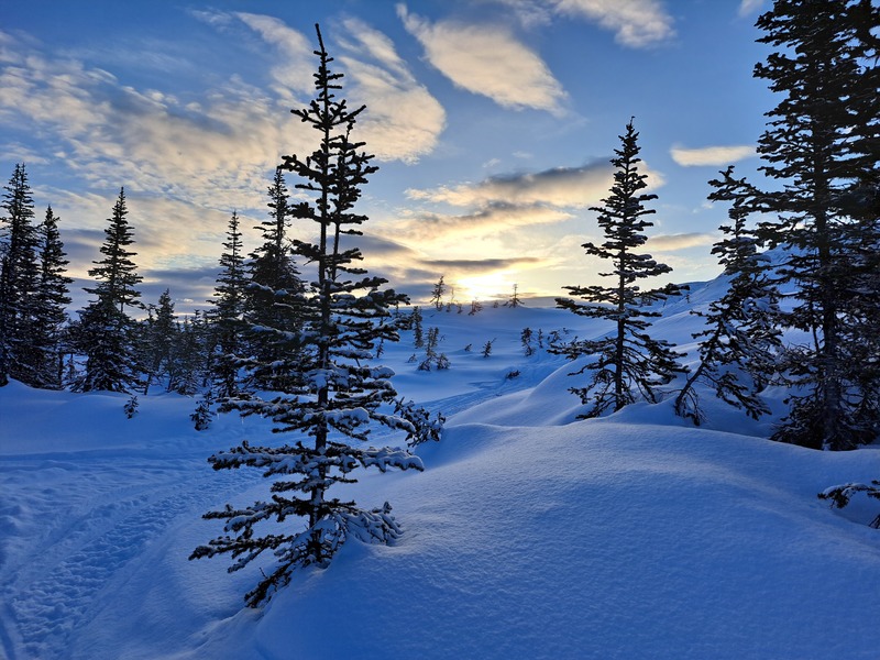 Winterwonderland in Yukon