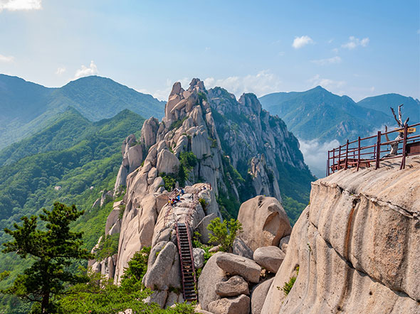 Familierondreis Zuid-Korea