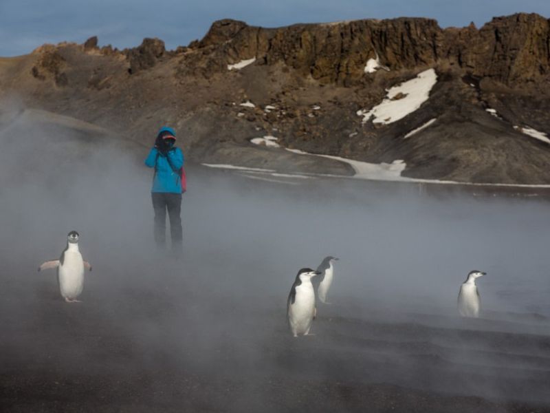 Droomexpeditie naar Antarctica