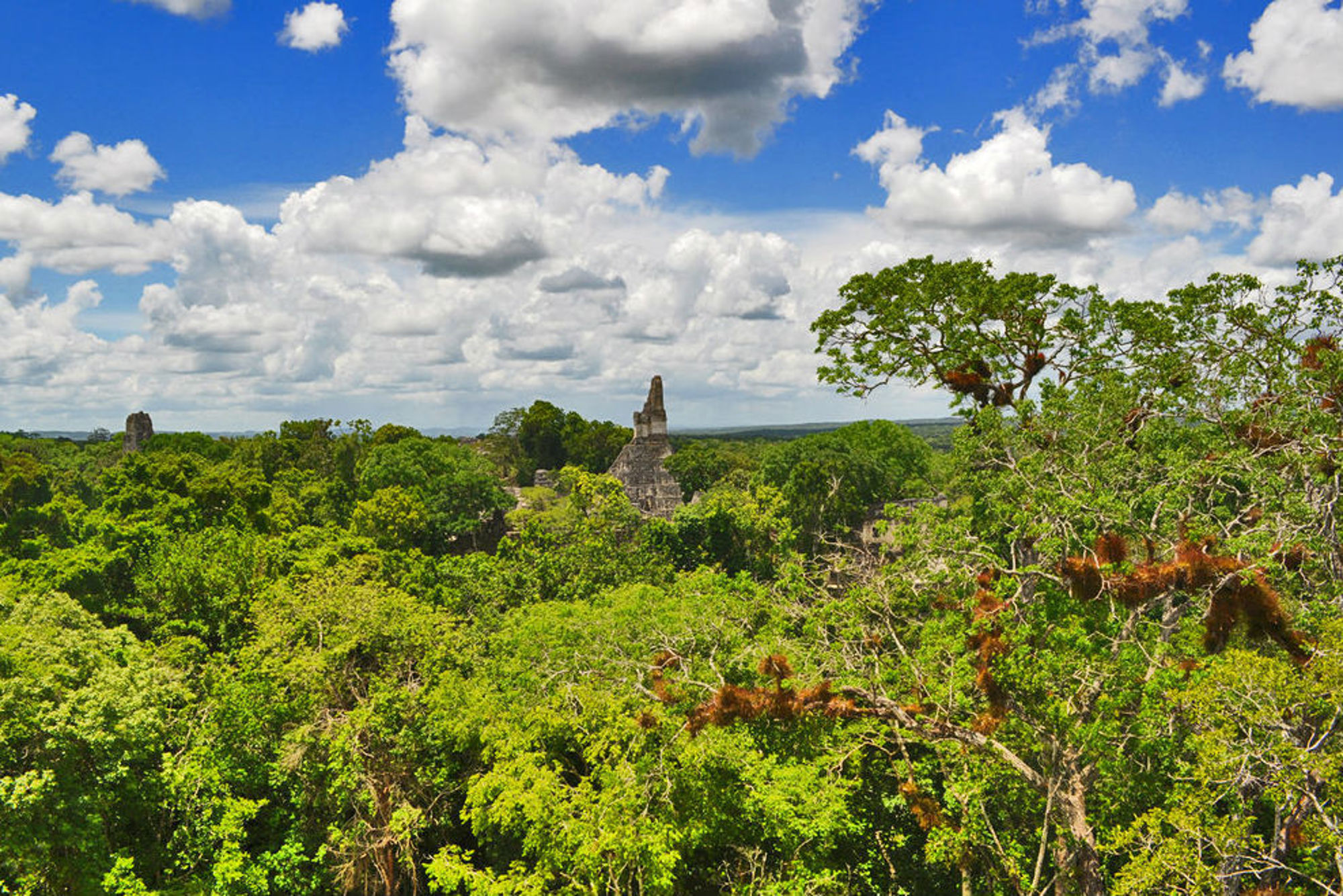 Groepsrondreis Mexico, Guatemala en Honduras