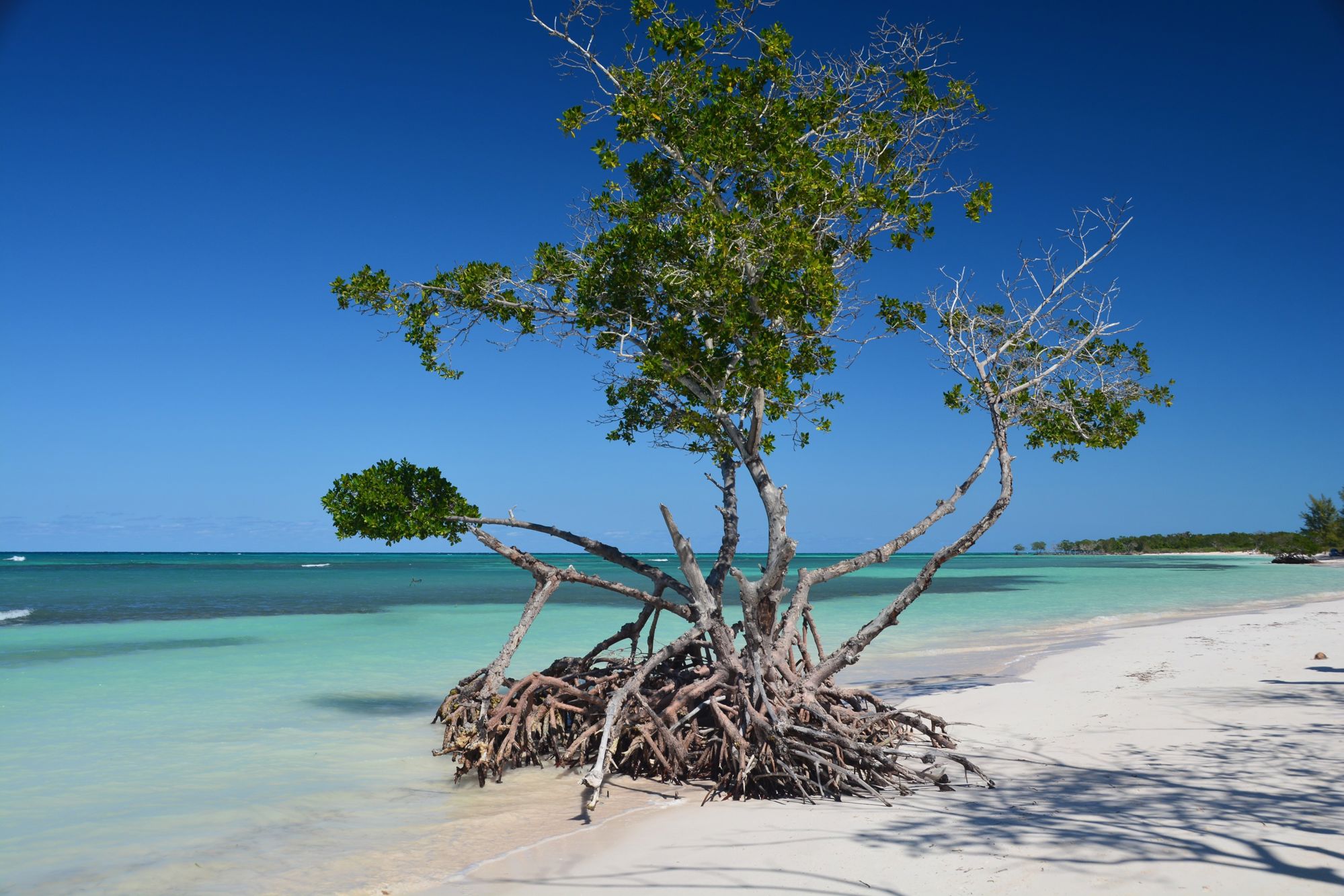 Groepsrondreis Cuba Hoogtepunten