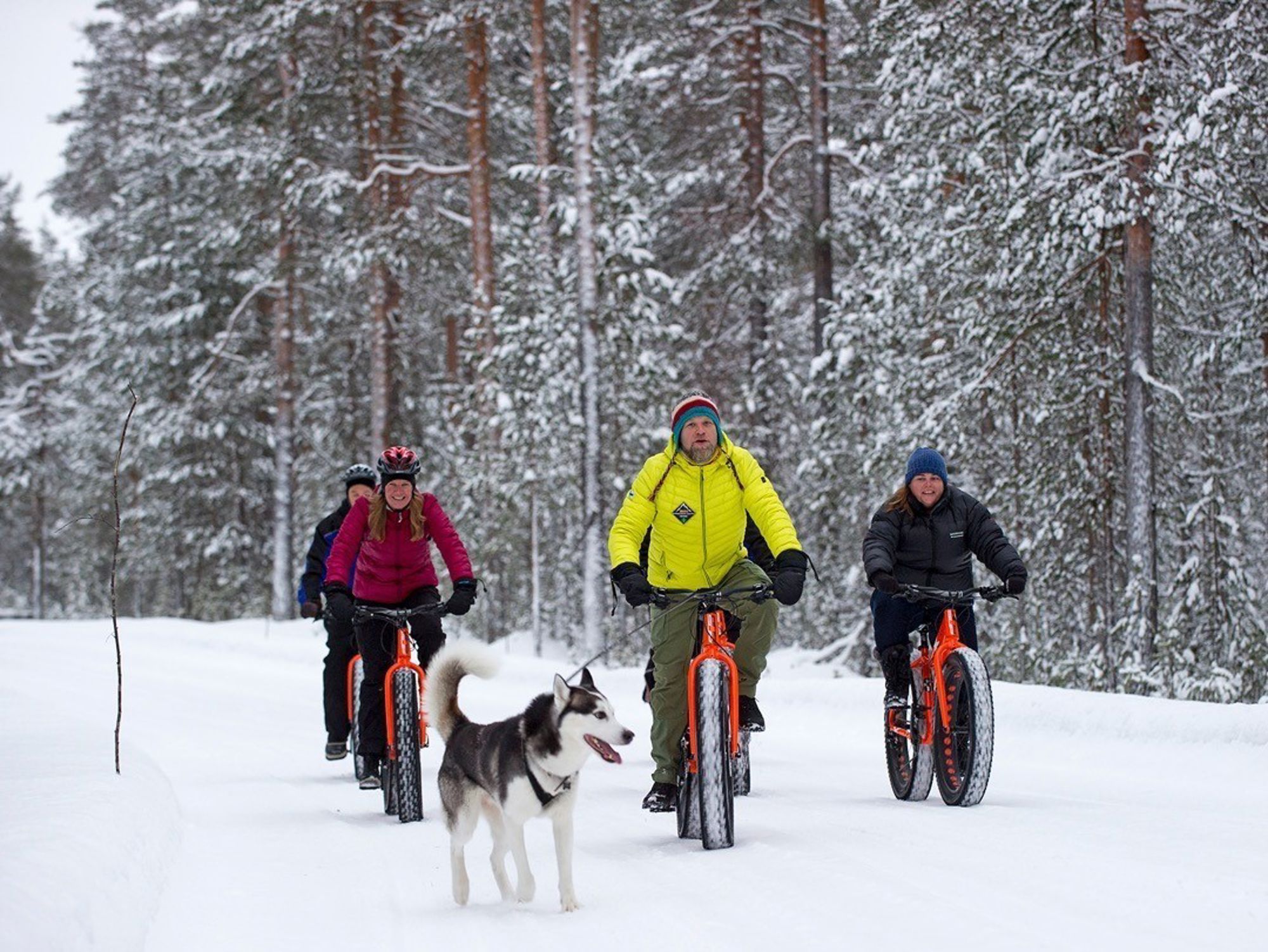 Familiereis Lapland Winter