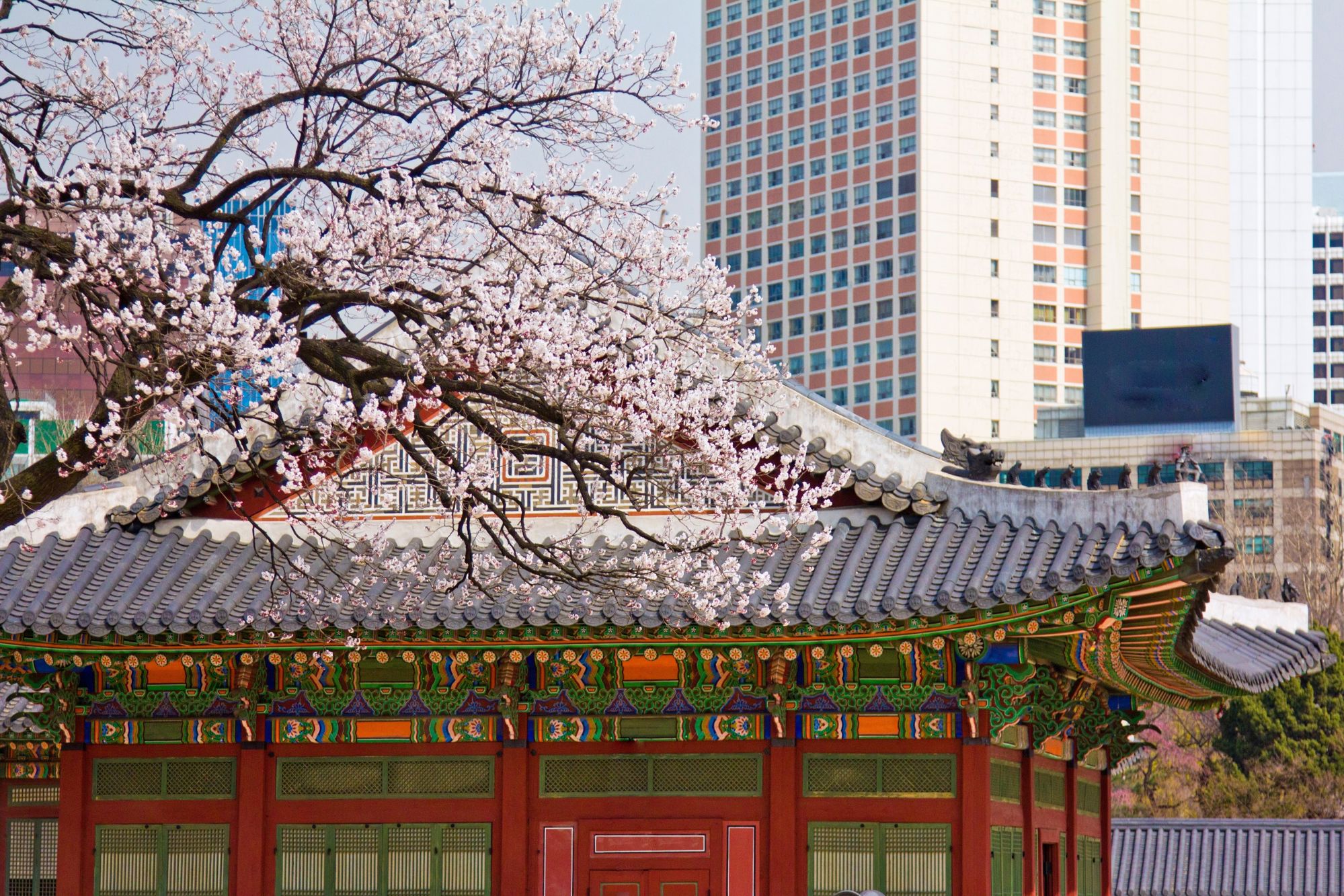 Groepsrondreis Zuid-Korea