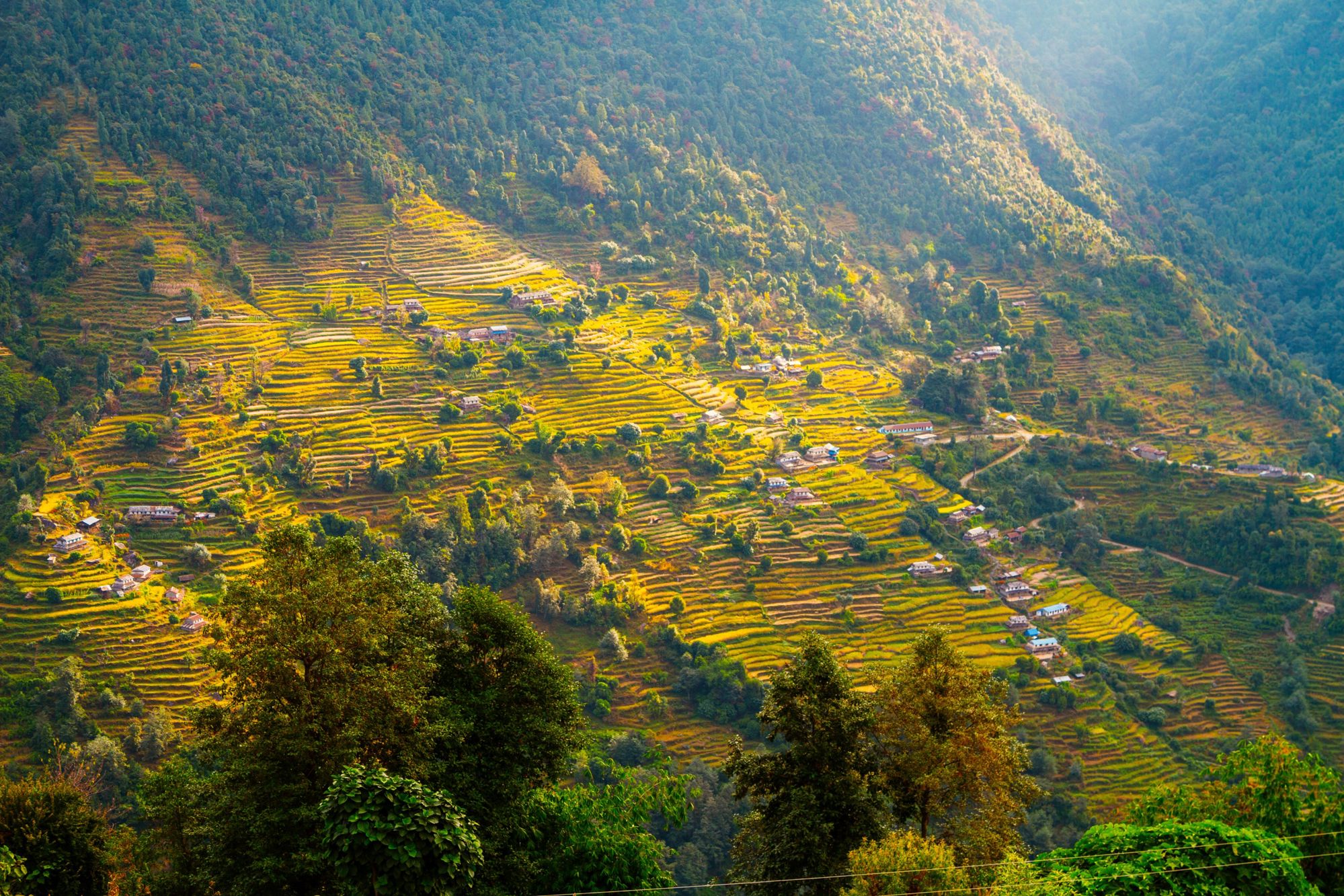 22-35ers reis Nepal