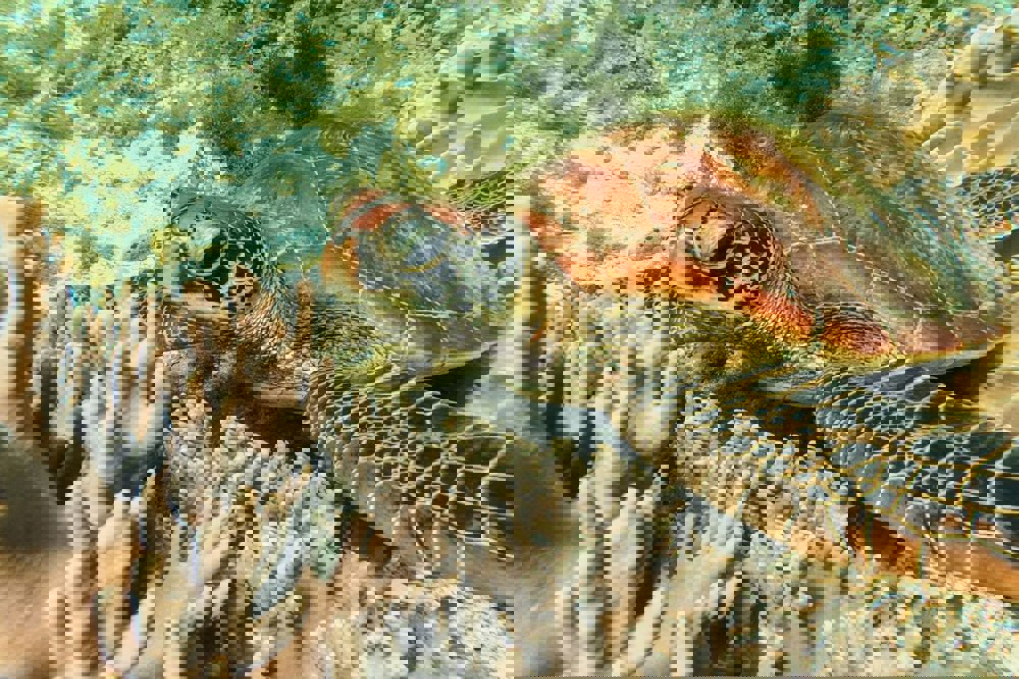 Groepsrondreis Filipijnen