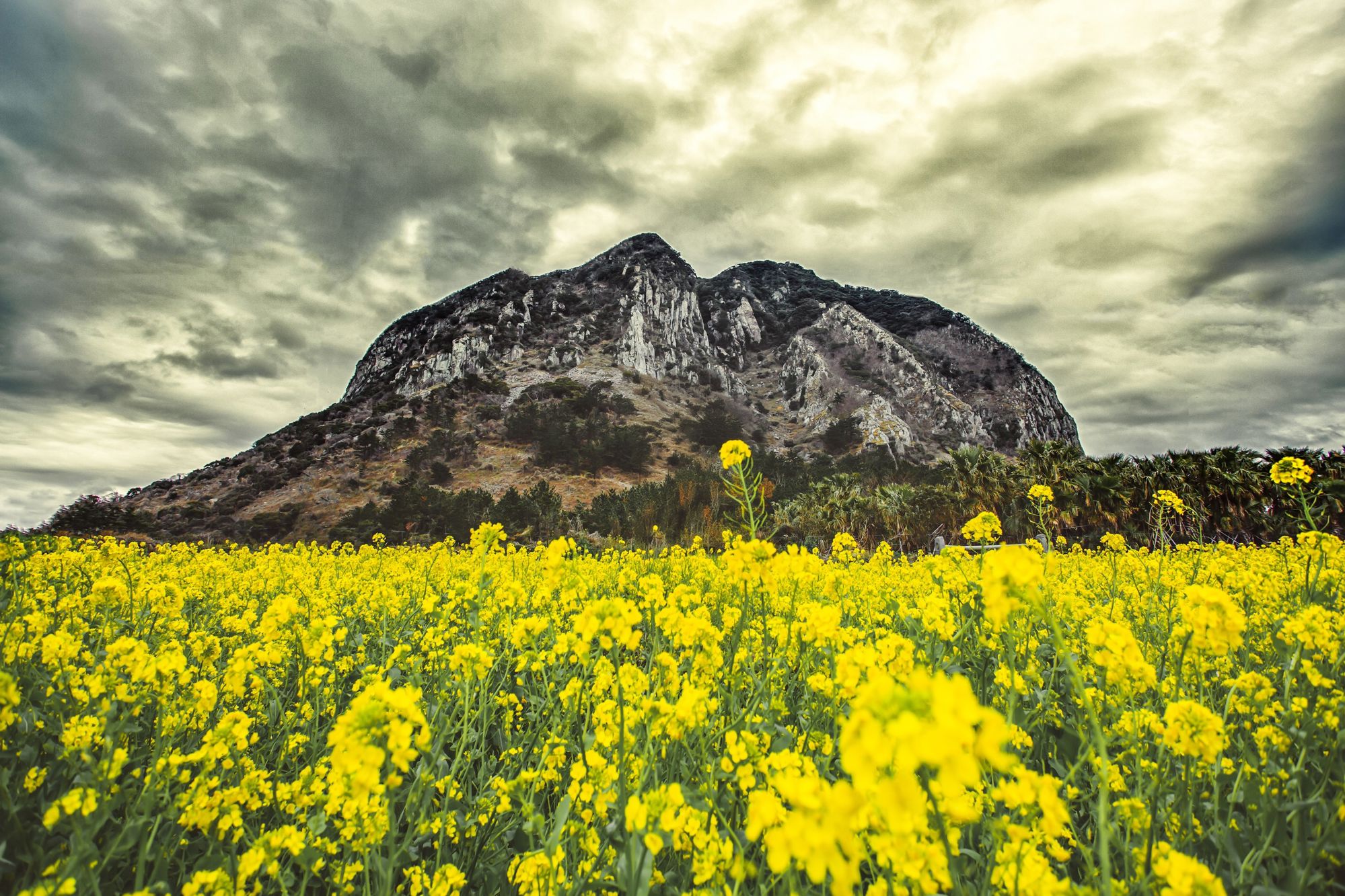 Groepsrondreis Zuid-Korea