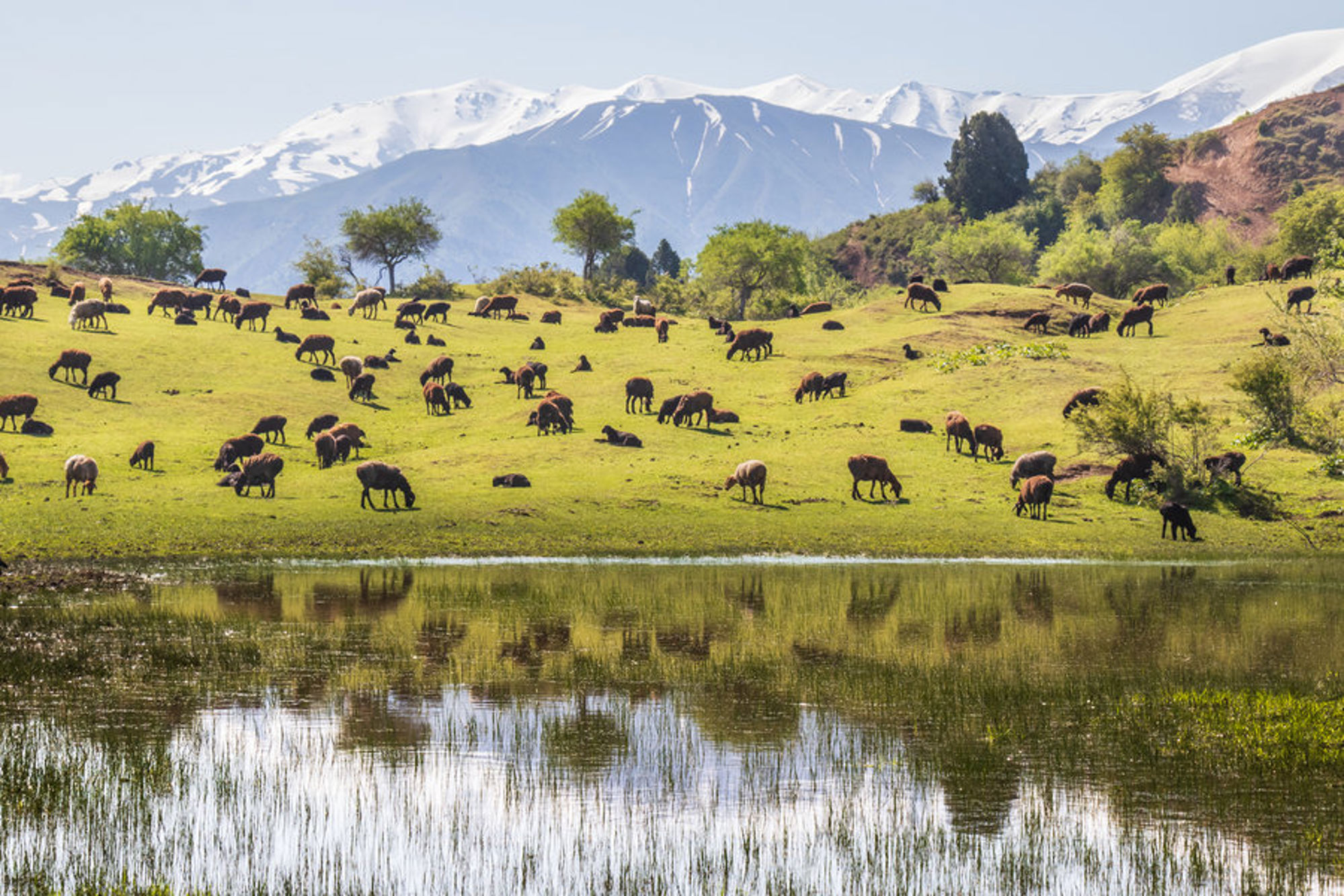 Groepsrondreis Zijderoute met de trein