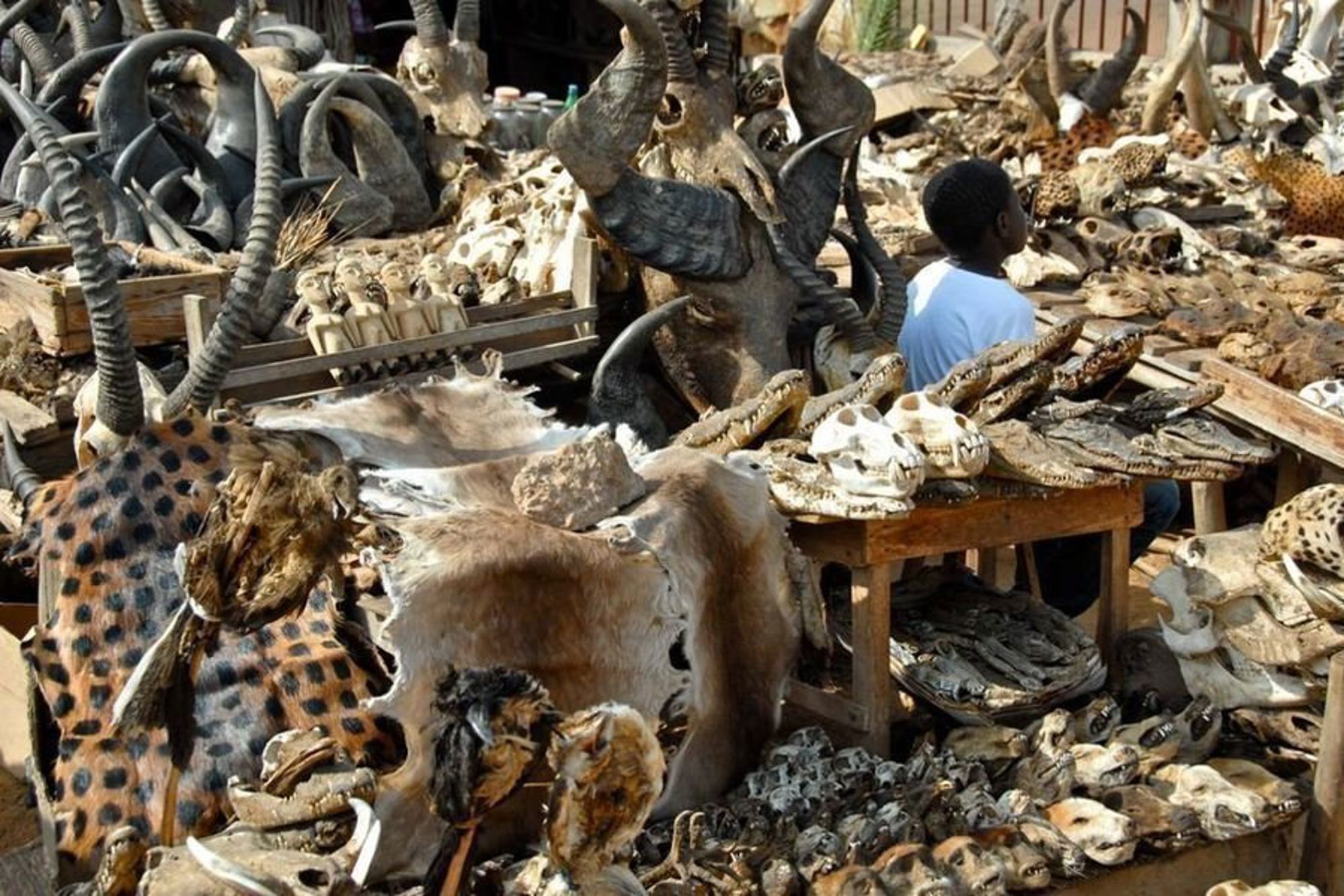 Groepsrondreis Ghana, Togo en Benin