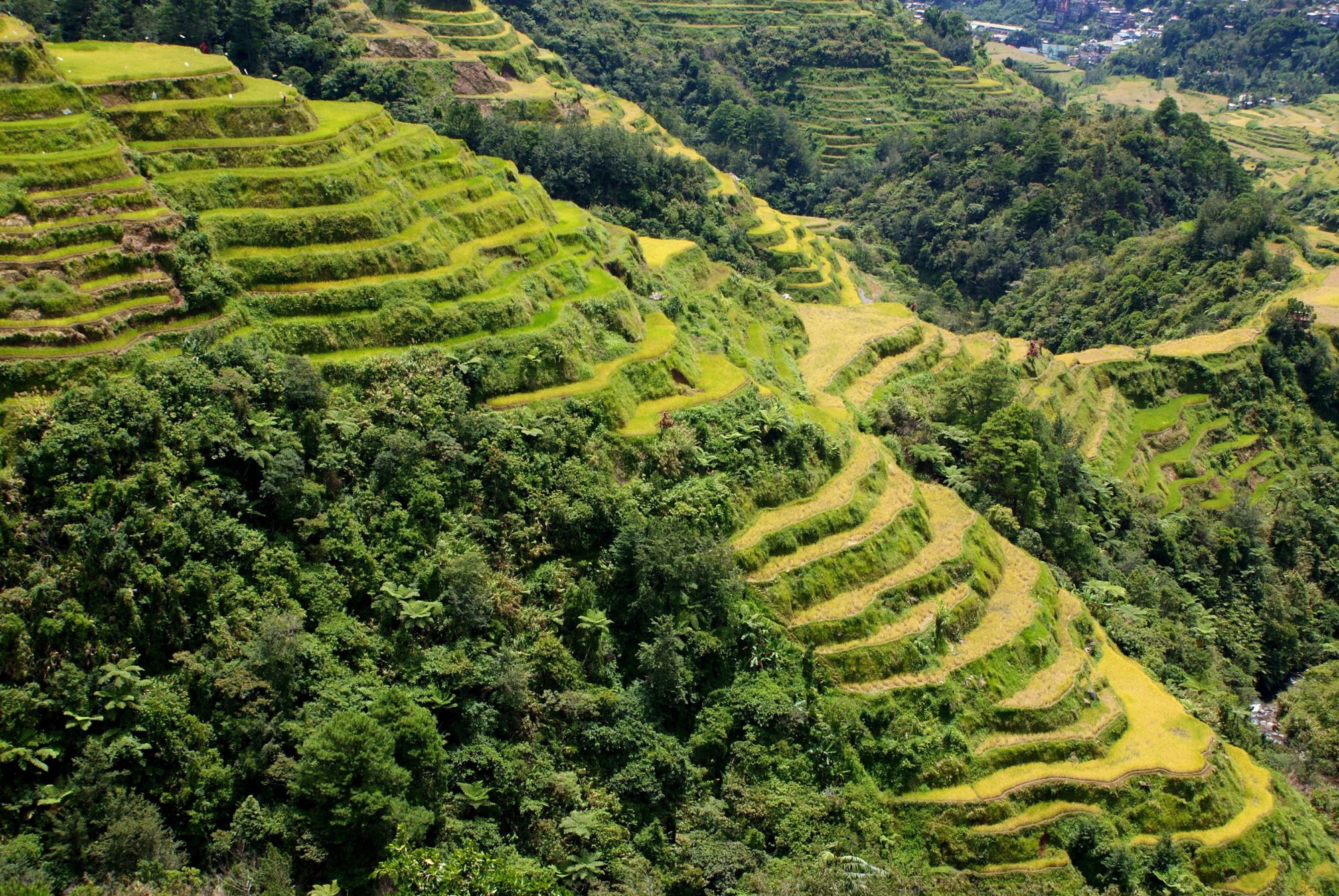Groepsrondreis Filipijnen