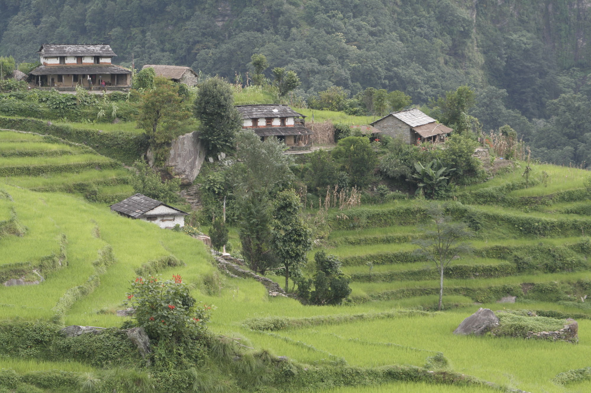 Groepsrondreis Nepal Annapurna Basecamp