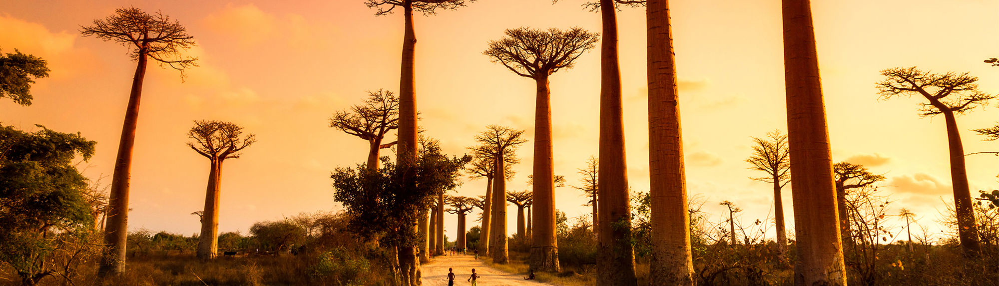 Groepsrondreis Zuidelijk Afrika – kampeerreis