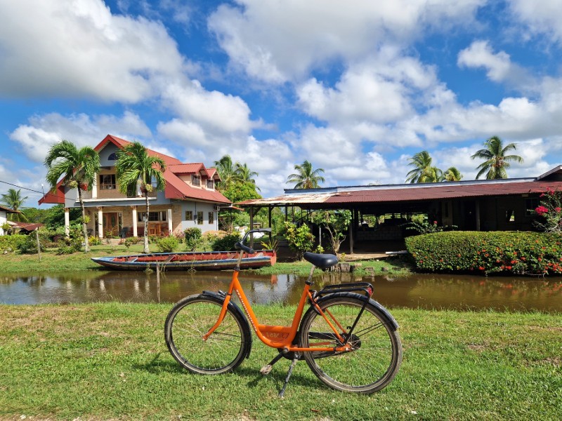 Hoogtepunten in Suriname