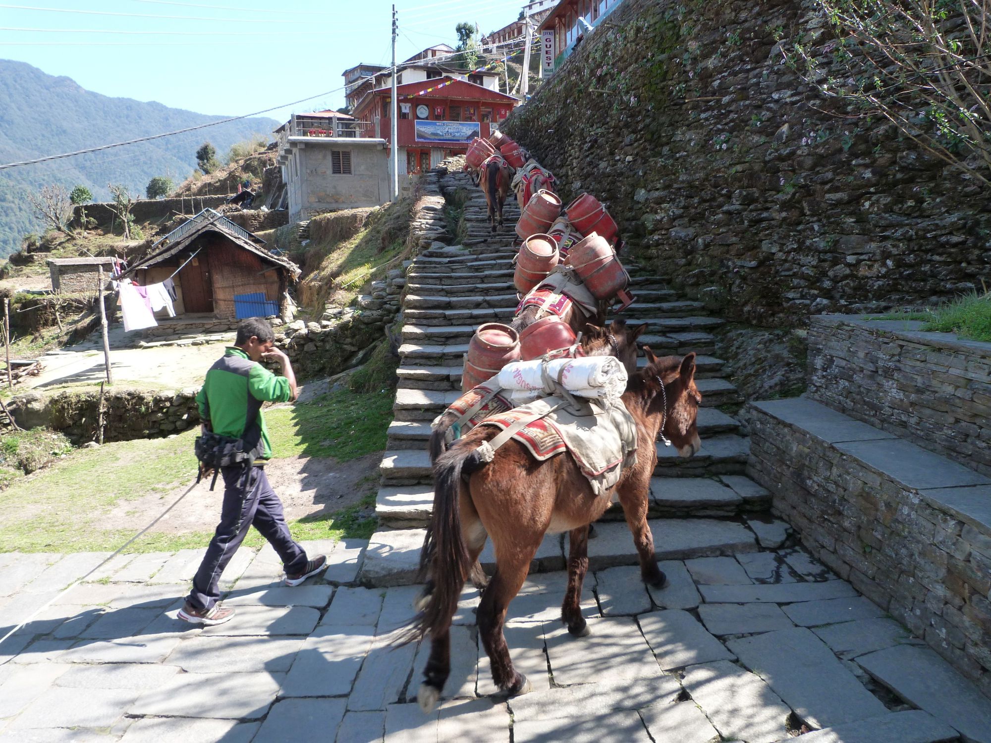 Groepsrondreis Nepal Annapurna Basecamp