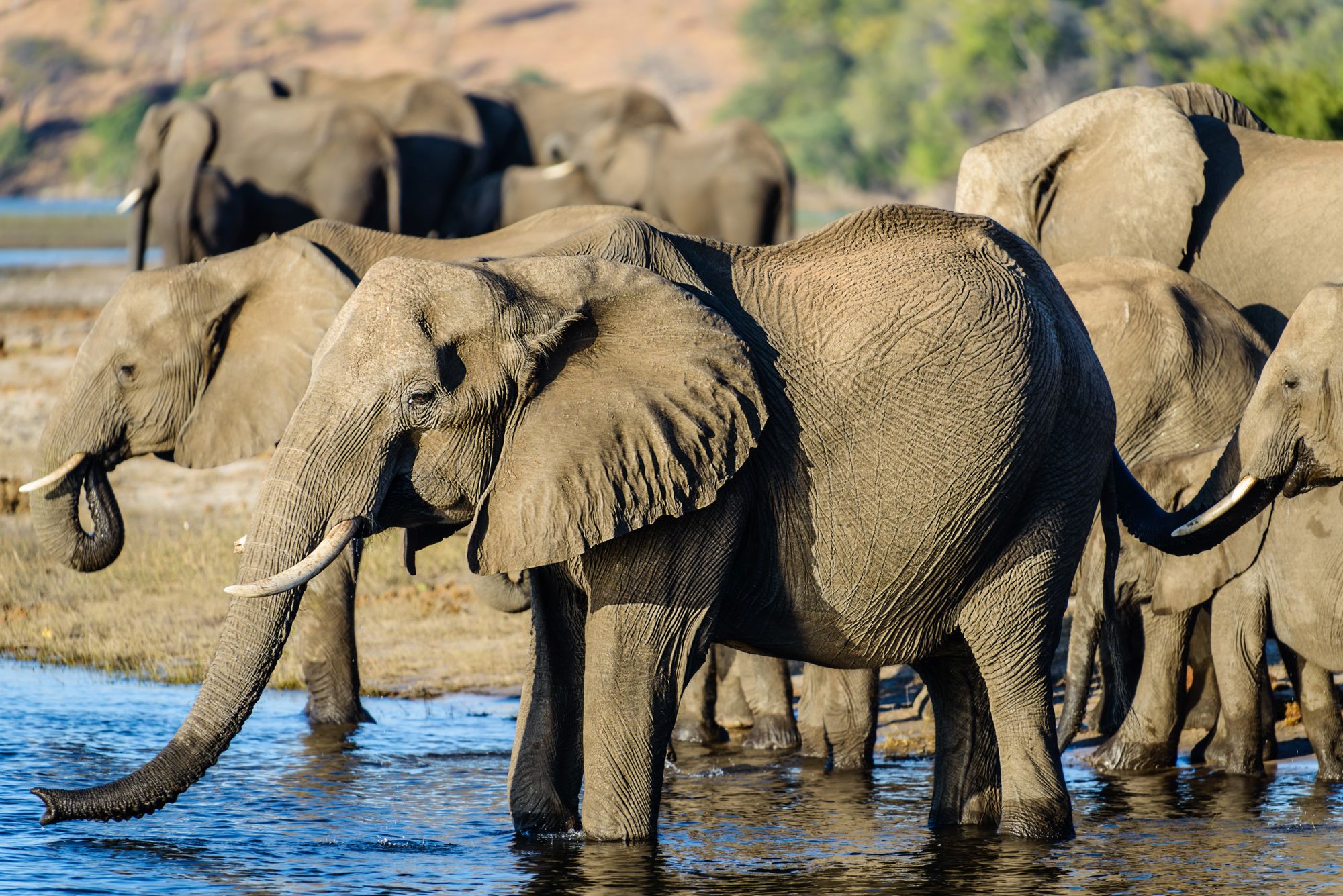 Groepsrondreis Zuidelijk Afrika – kampeerreis