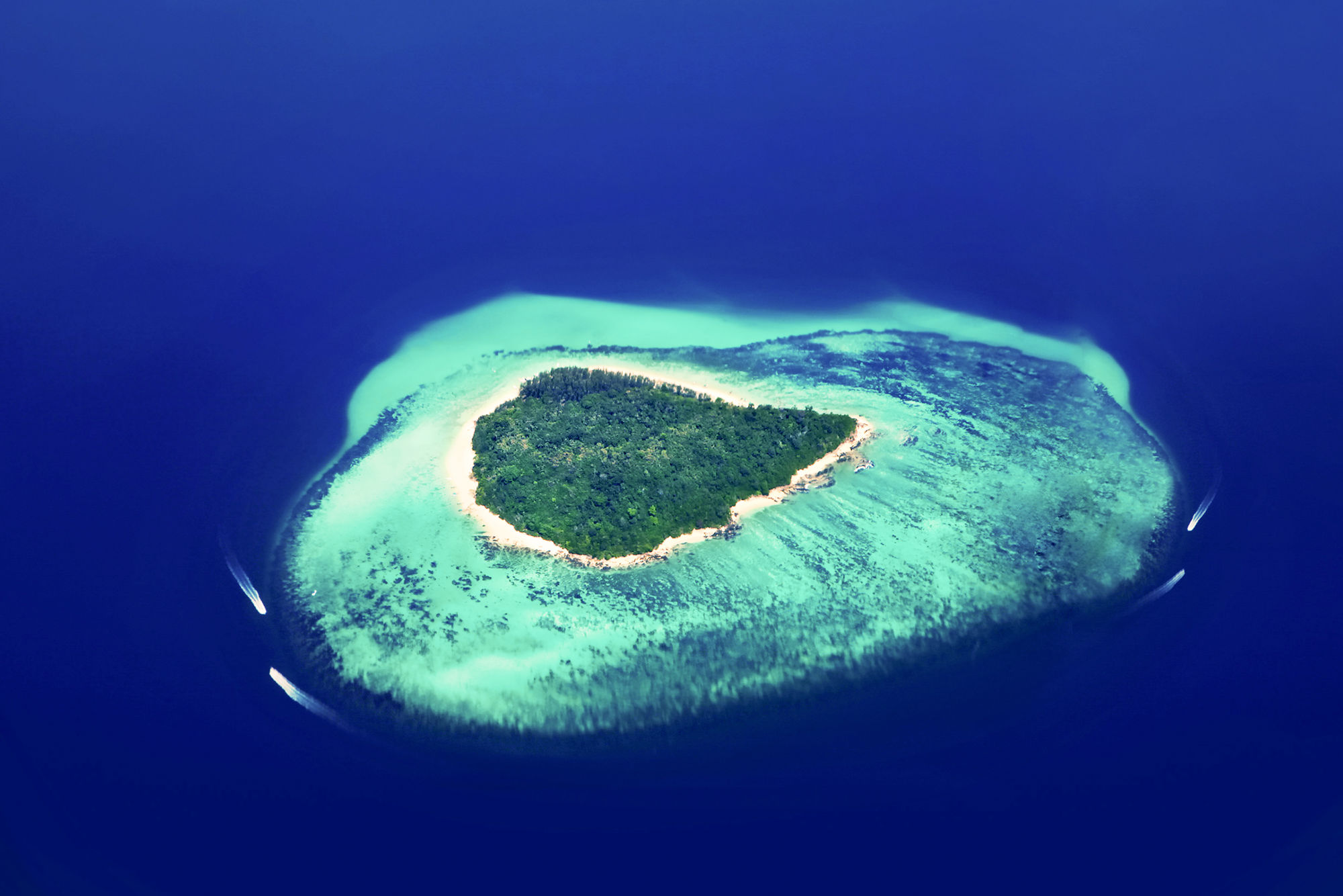Groepsrondreis Sri Lanka en Malediven
