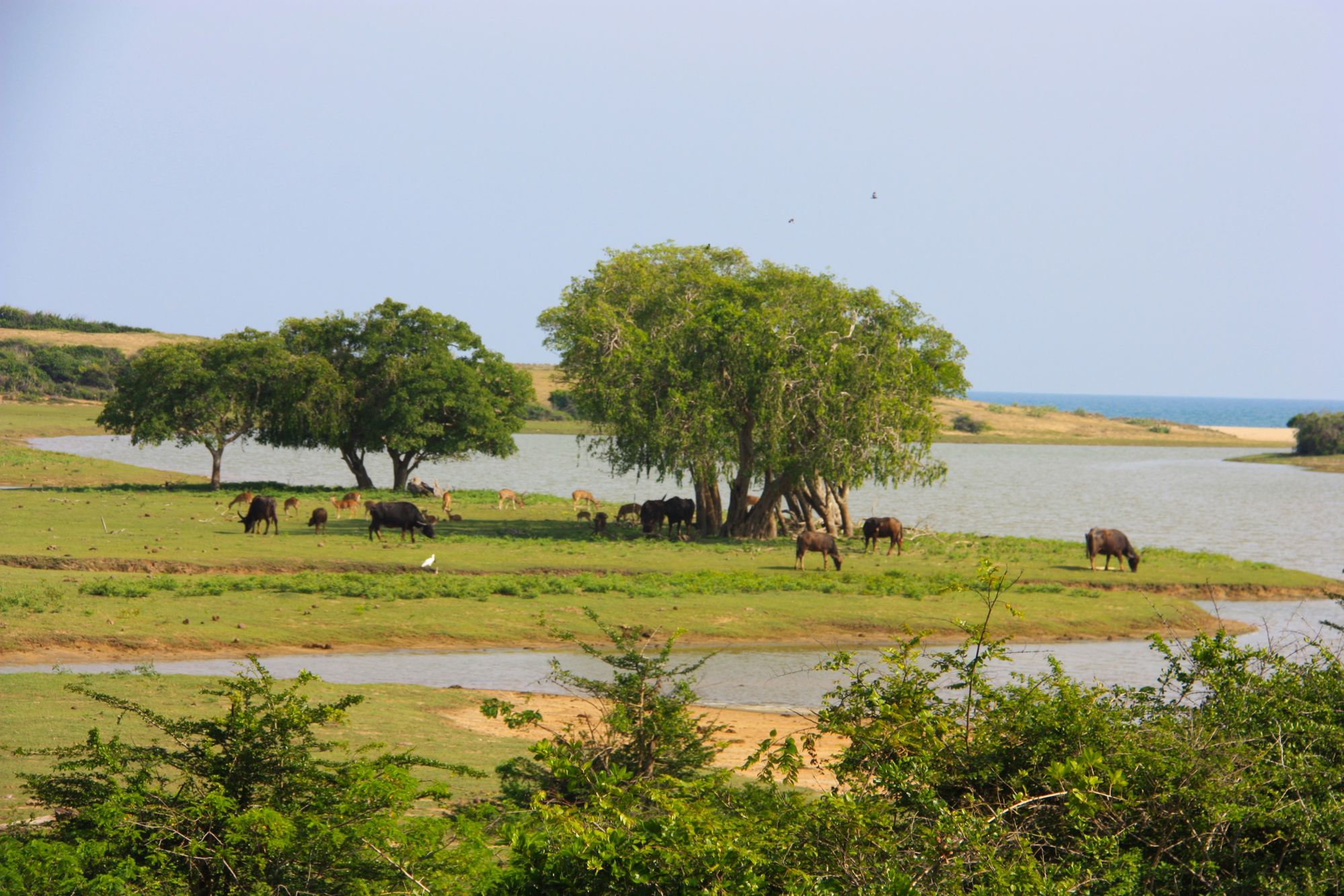 Groepsrondreis Sri Lanka en Malediven