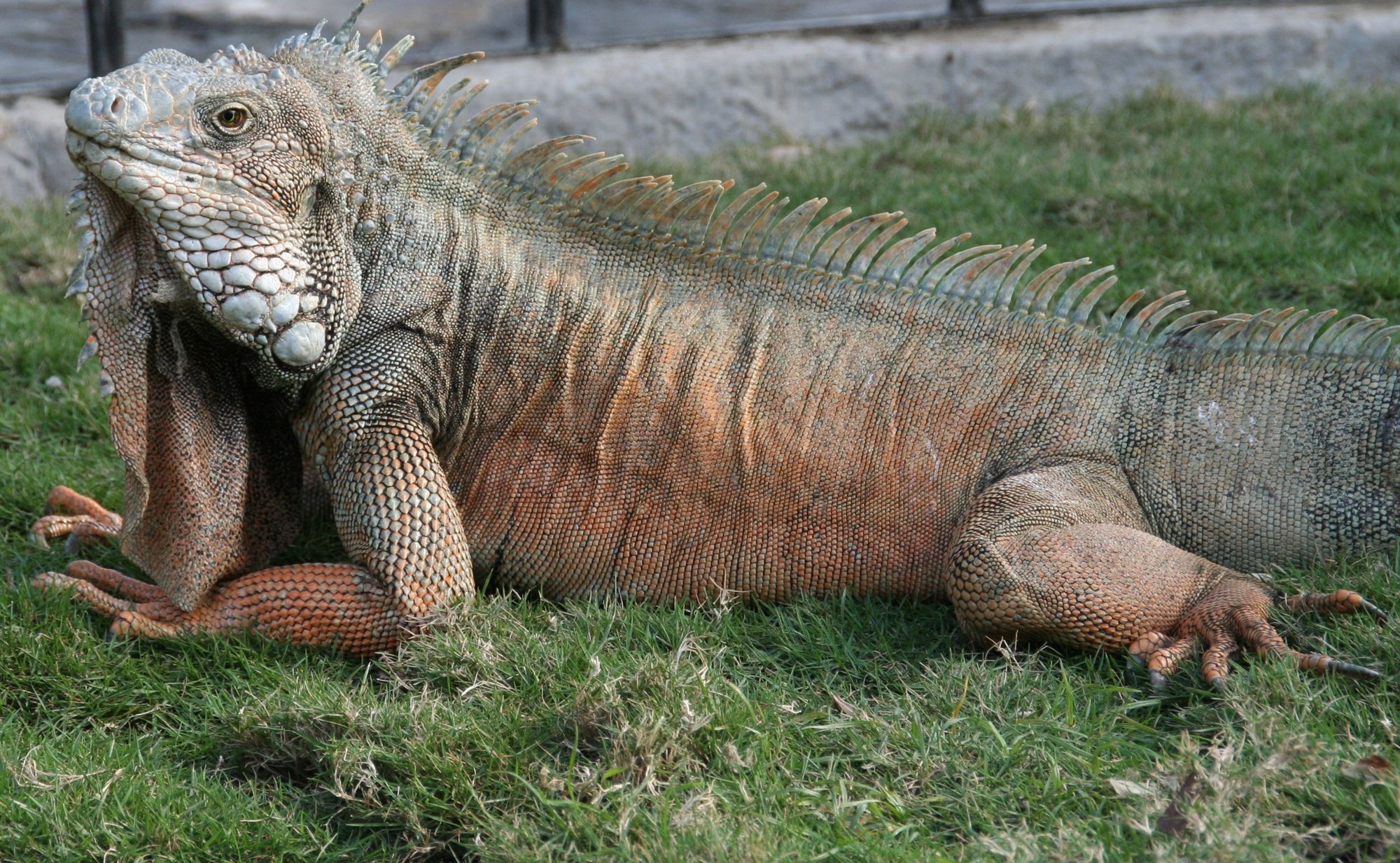 Groepsrondreis Ecuador & Galapagos