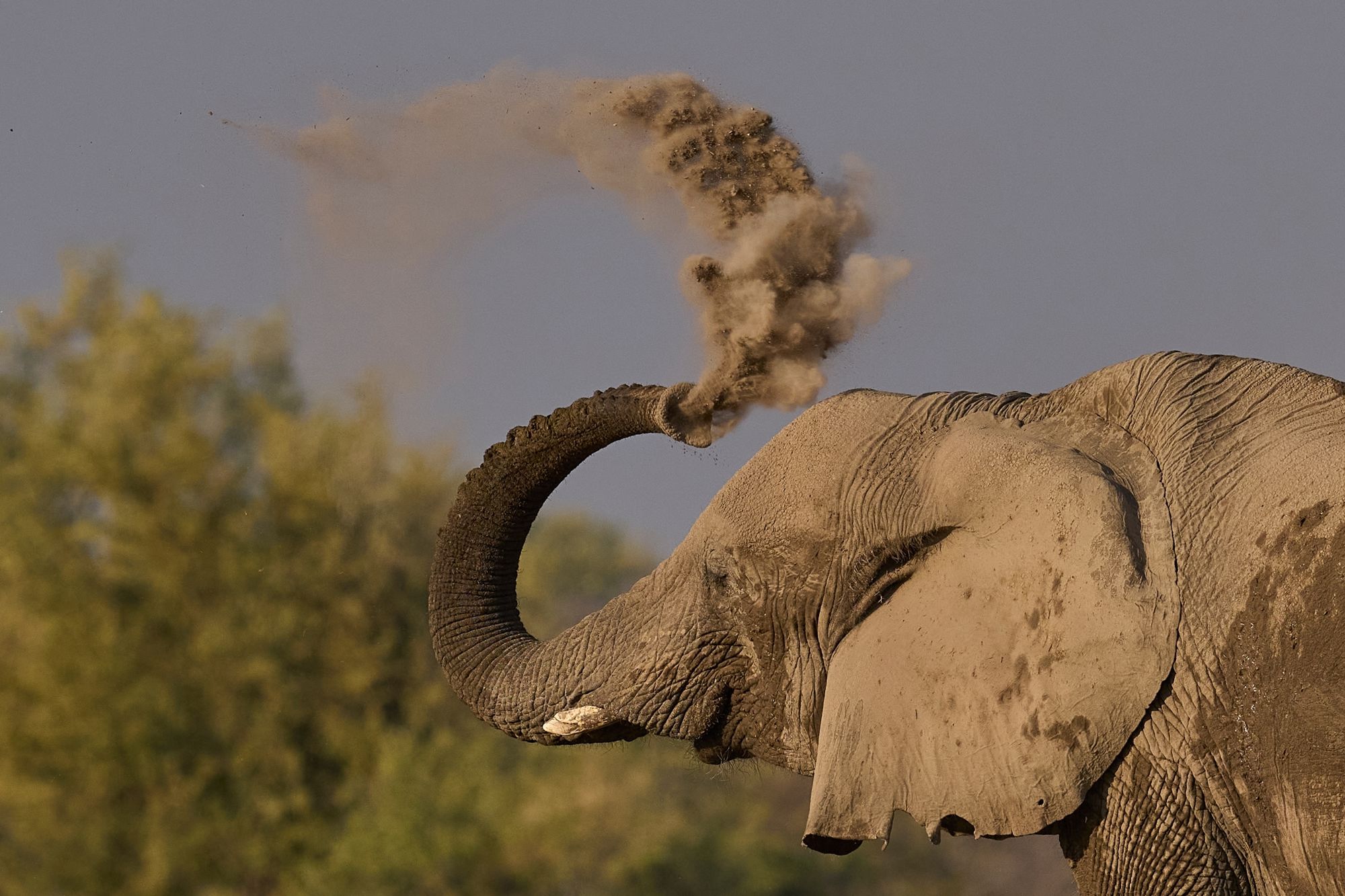 Groepsrondreis Kenia, Tanzania en Zanzibar hotel/lodge