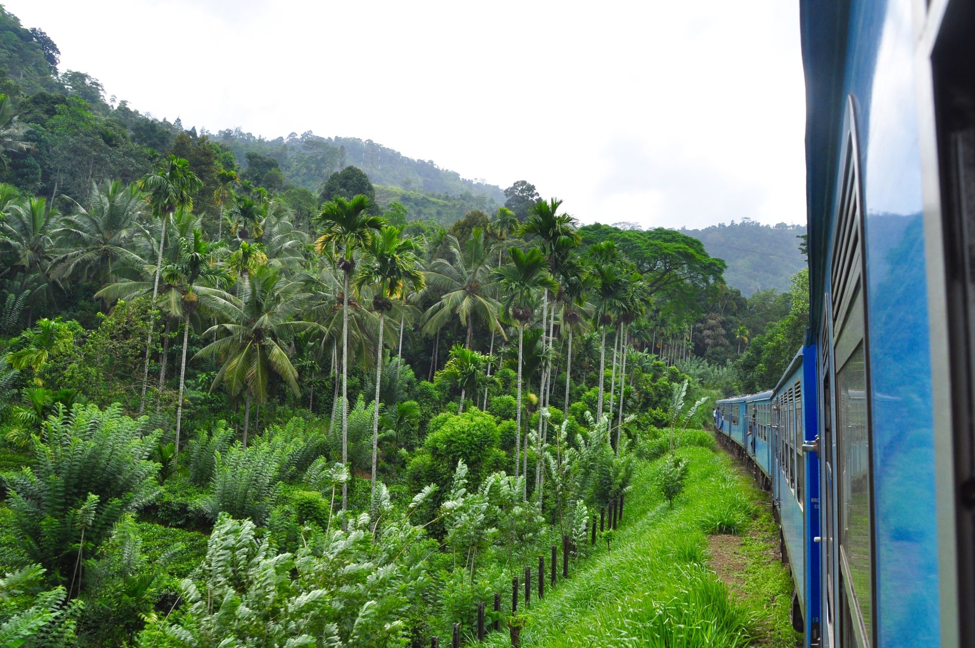 Groepsrondreis Sri Lanka