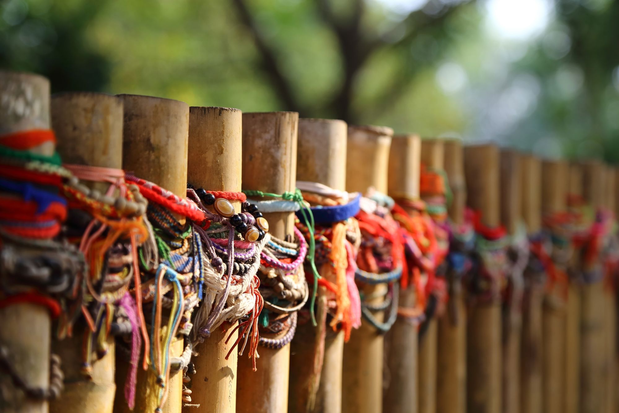 22-35ers reis Thailand, Laos & Cambodja
