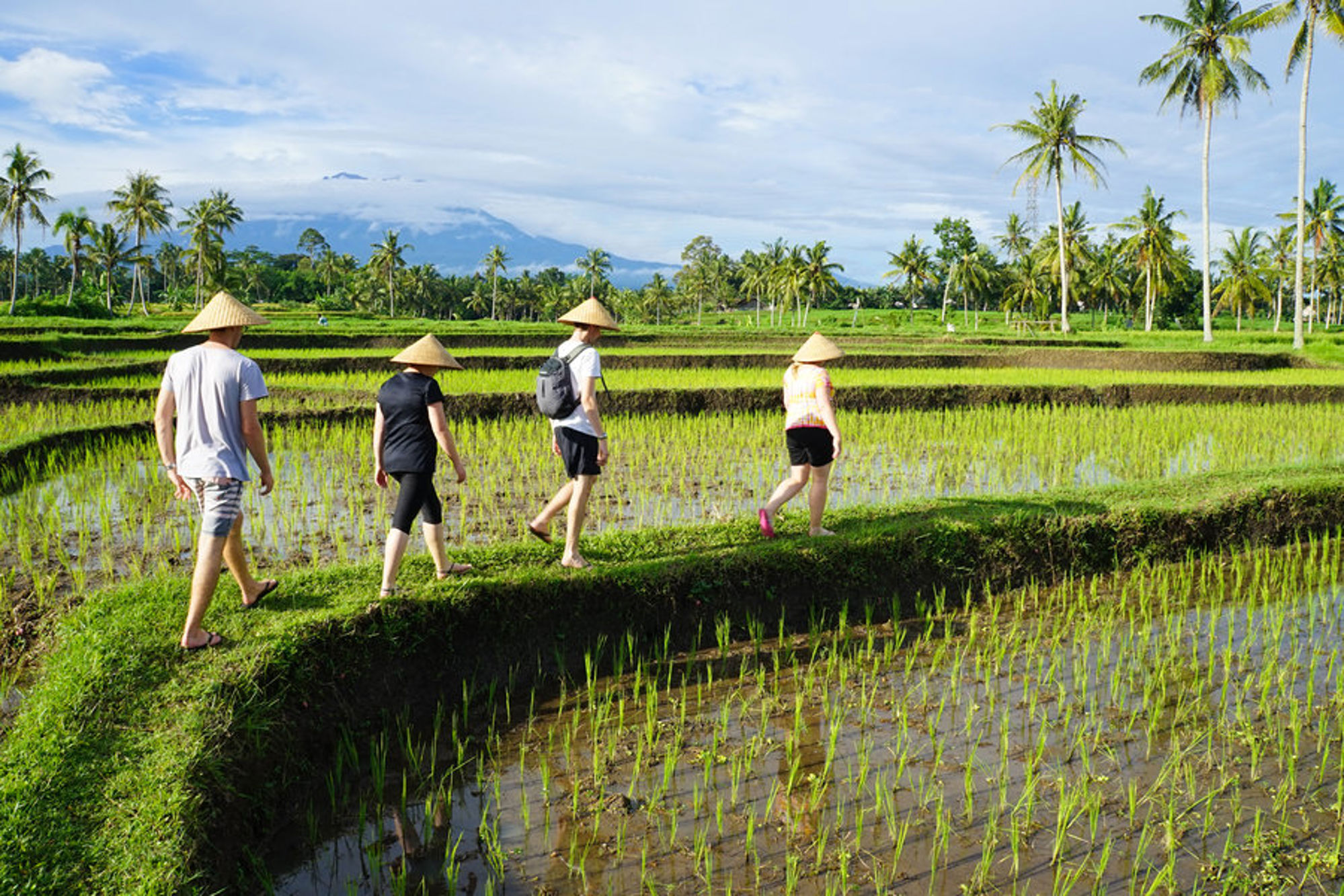 Familiereis Sumatra, Java en Bali