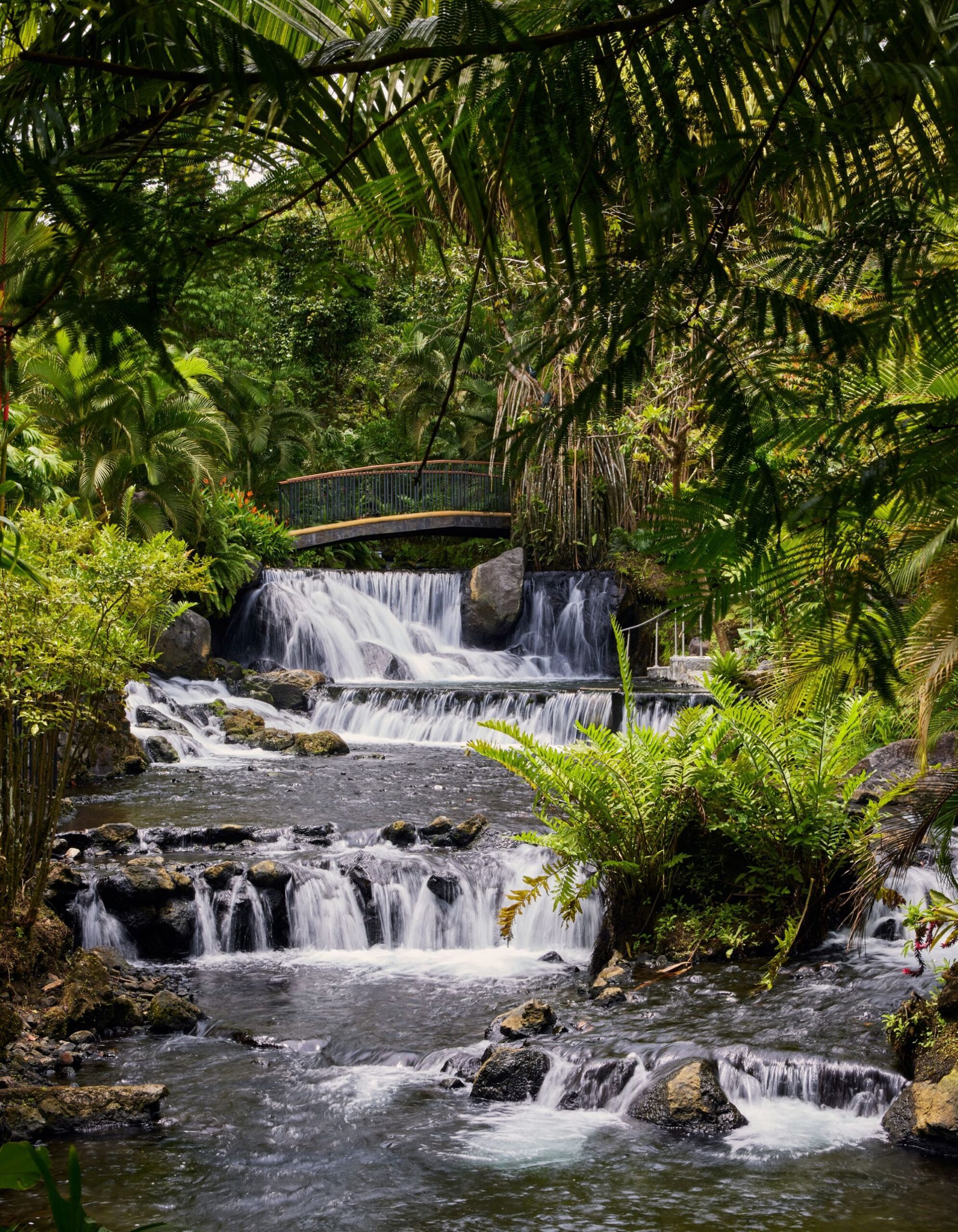 Groepsrondreis Costa Rica Hoogtepunten