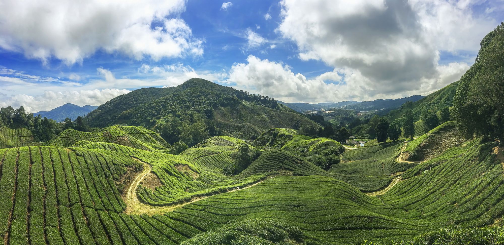 Groepsrondreis West-Maleisië & Borneo