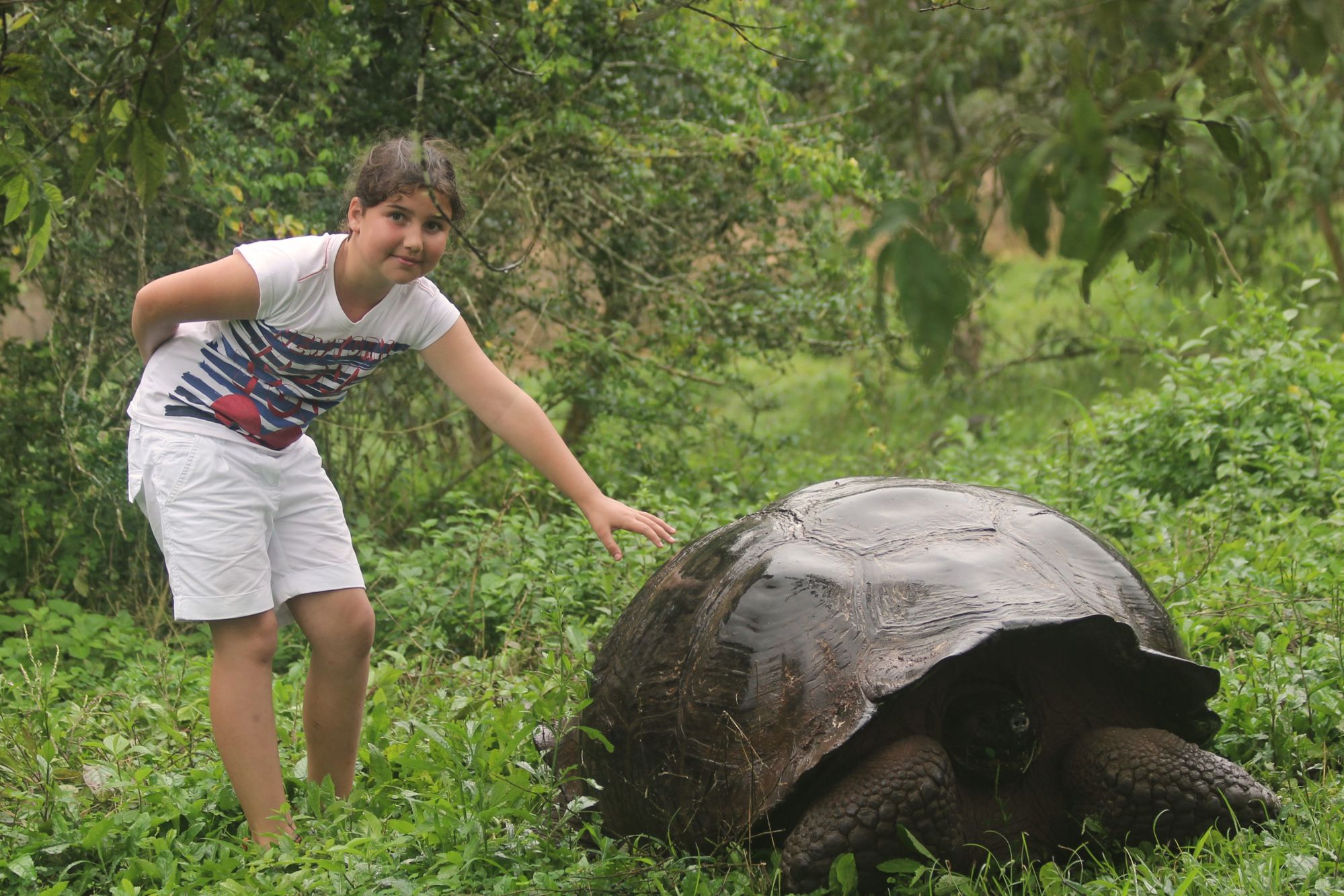 Groepsrondreis Ecuador & Galapagos