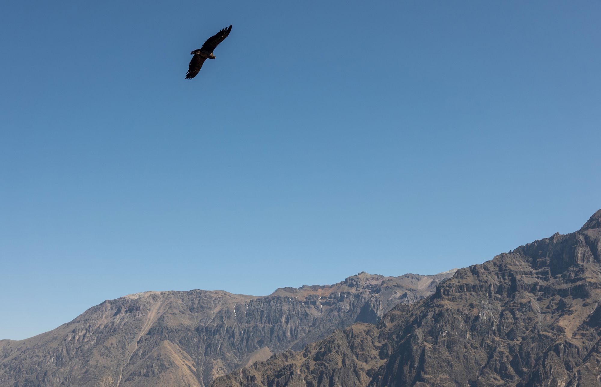 Groepsrondreis Peru Hoogtepunten