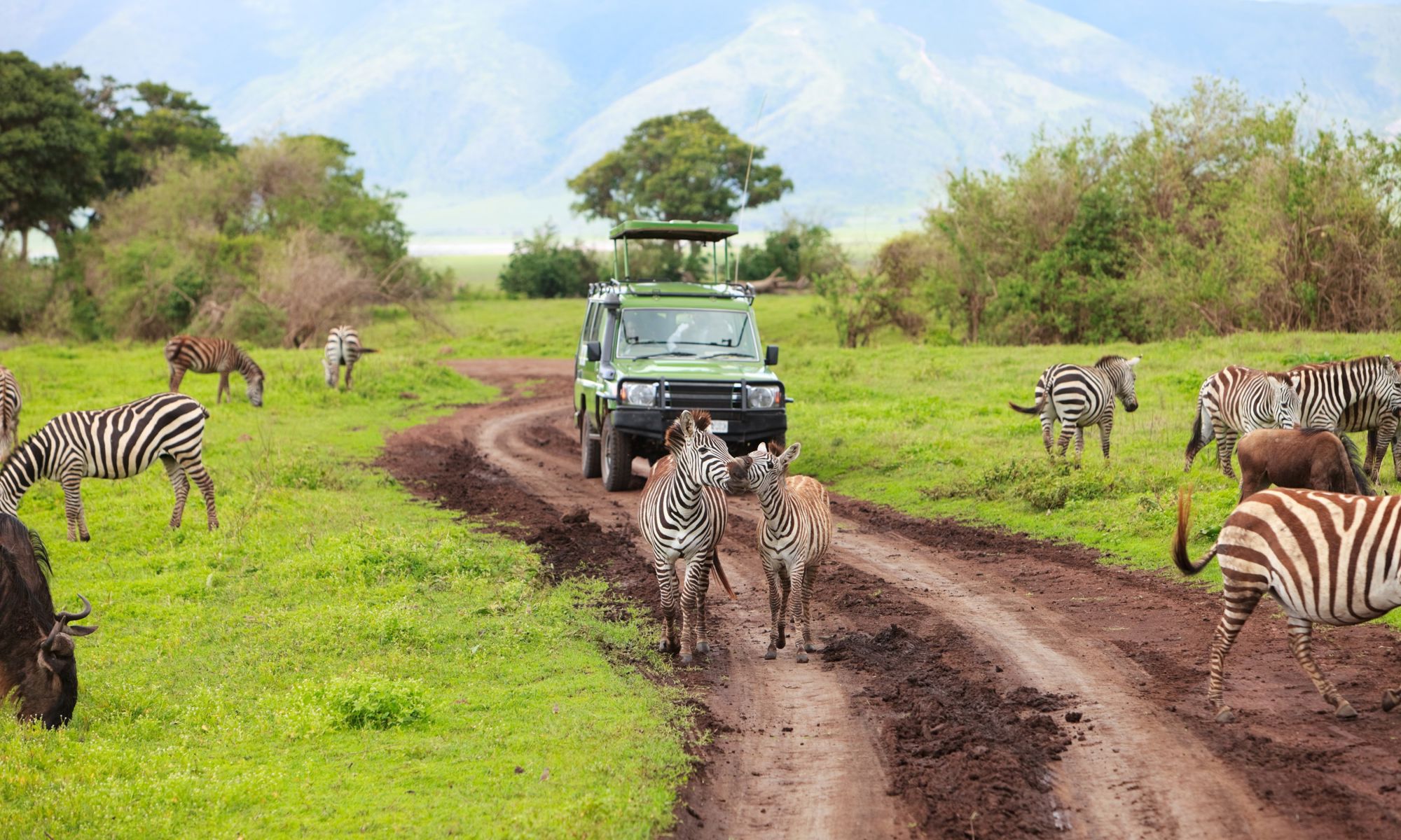 22-35ers reis Kenia & Tanzania