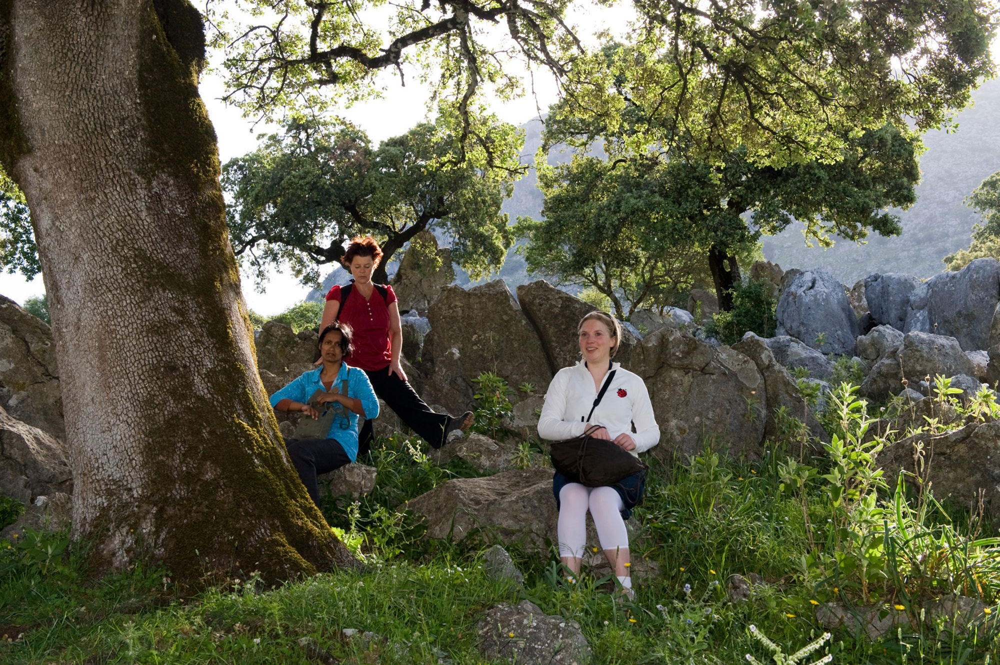 Groepsrondreis Andalusië Hoogtepunten