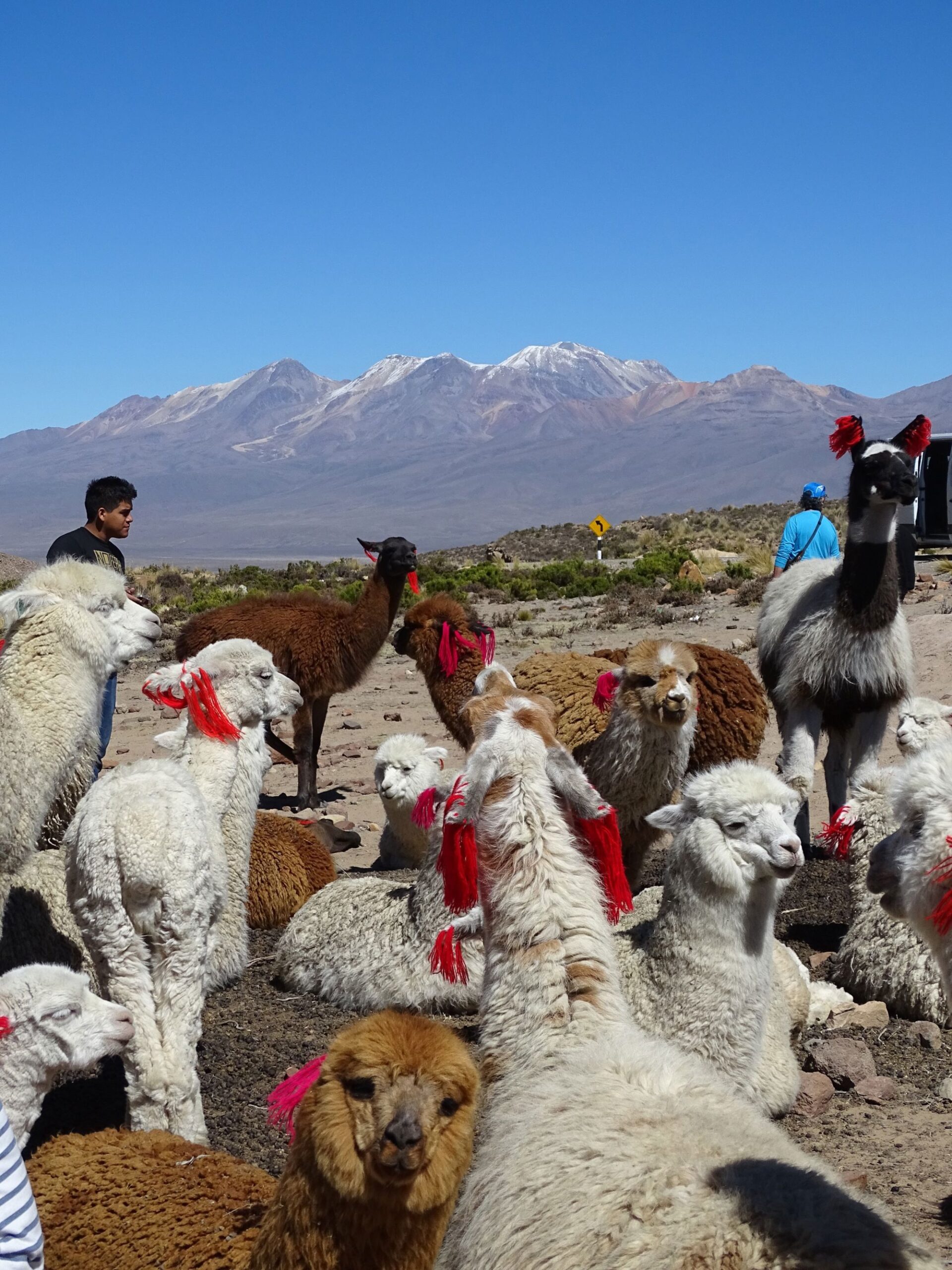 Groepsrondreis Peru Hoogtepunten