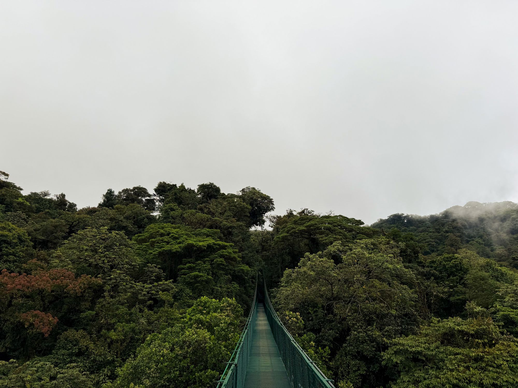 Groepsrondreis Costa Rica Hoogtepunten