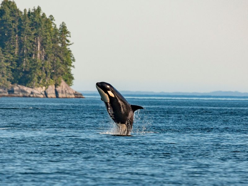 West-Canada on a shoestring