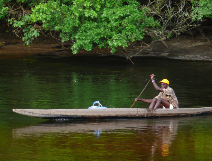 Wortels van Suriname
