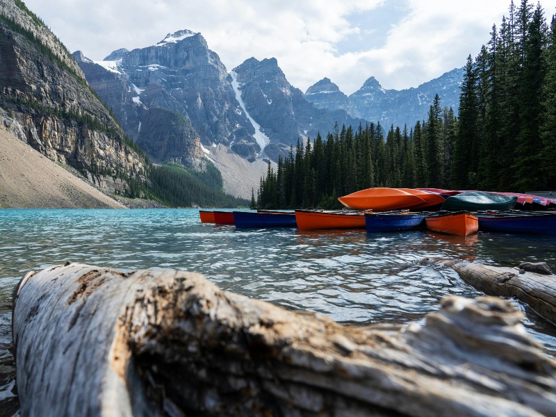 Wildlife en Wildernis in West-Canada