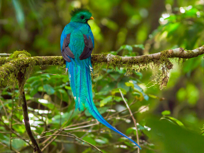 Verrassend Costa Rica in 2 weken