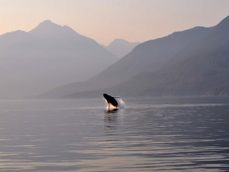 Camperrondreis West-Canada