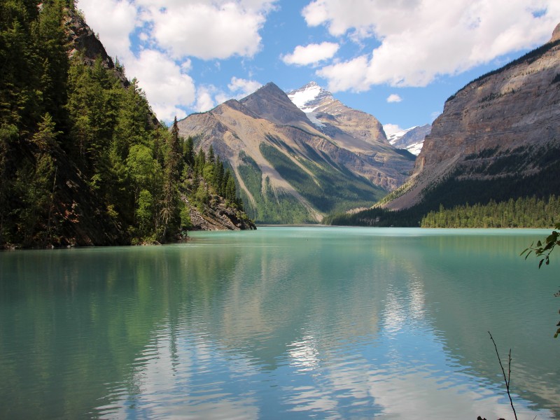 Wildlife en Wildernis in West-Canada
