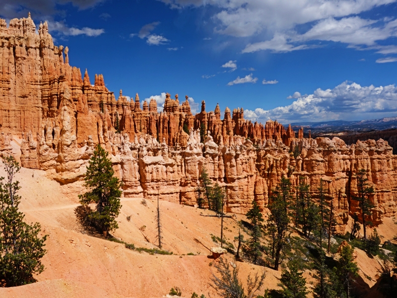 Hollywood, hamburgers en rockin’ highway