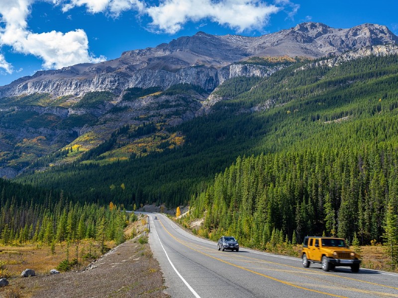 Wildlife en Wildernis in West-Canada