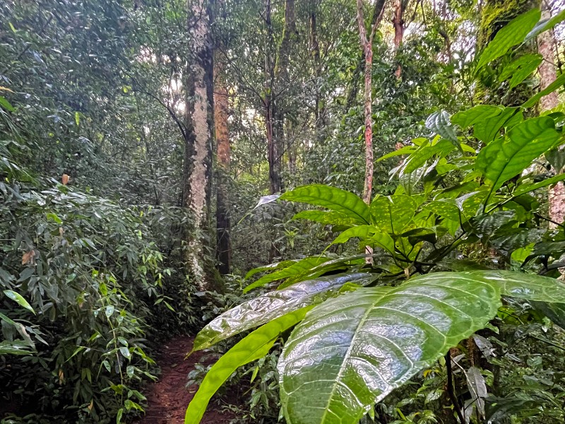 Verrassend Costa Rica in 2 weken