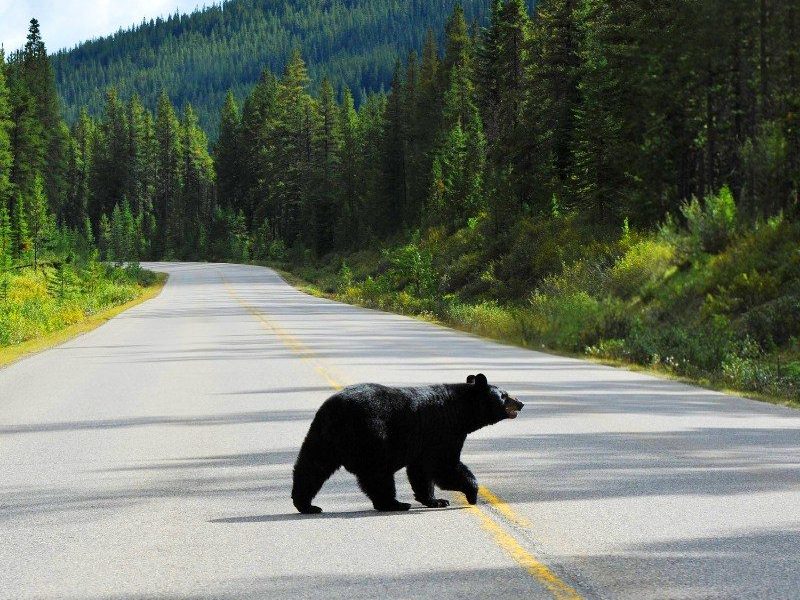 West-Canada on a shoestring