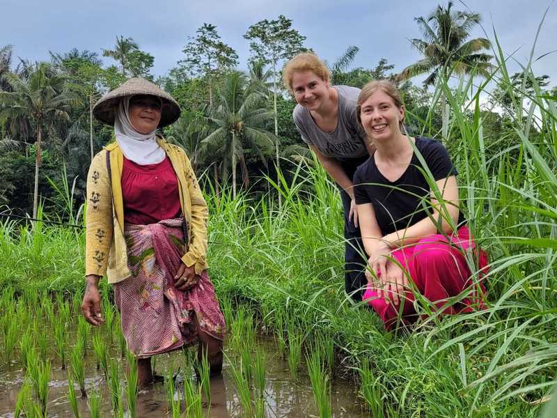 Ongerept Lombok & Bali
