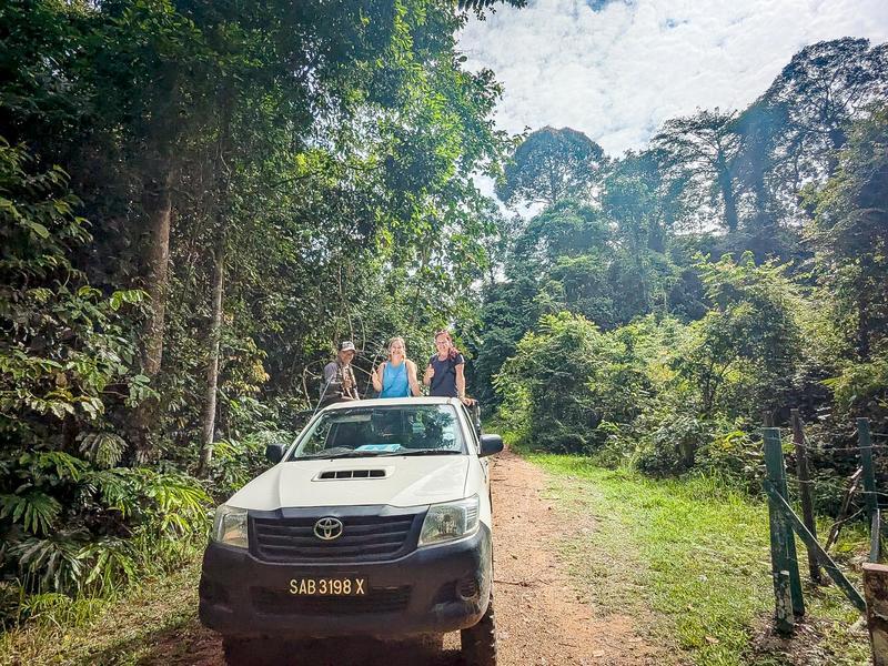 Ultiem Borneo: jungle, wildlife & orang-utans