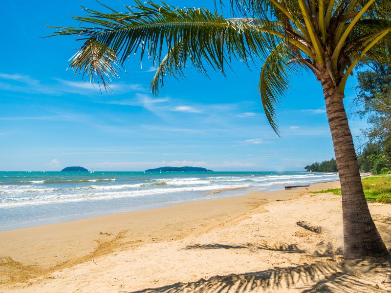 Borneo in 2 weken