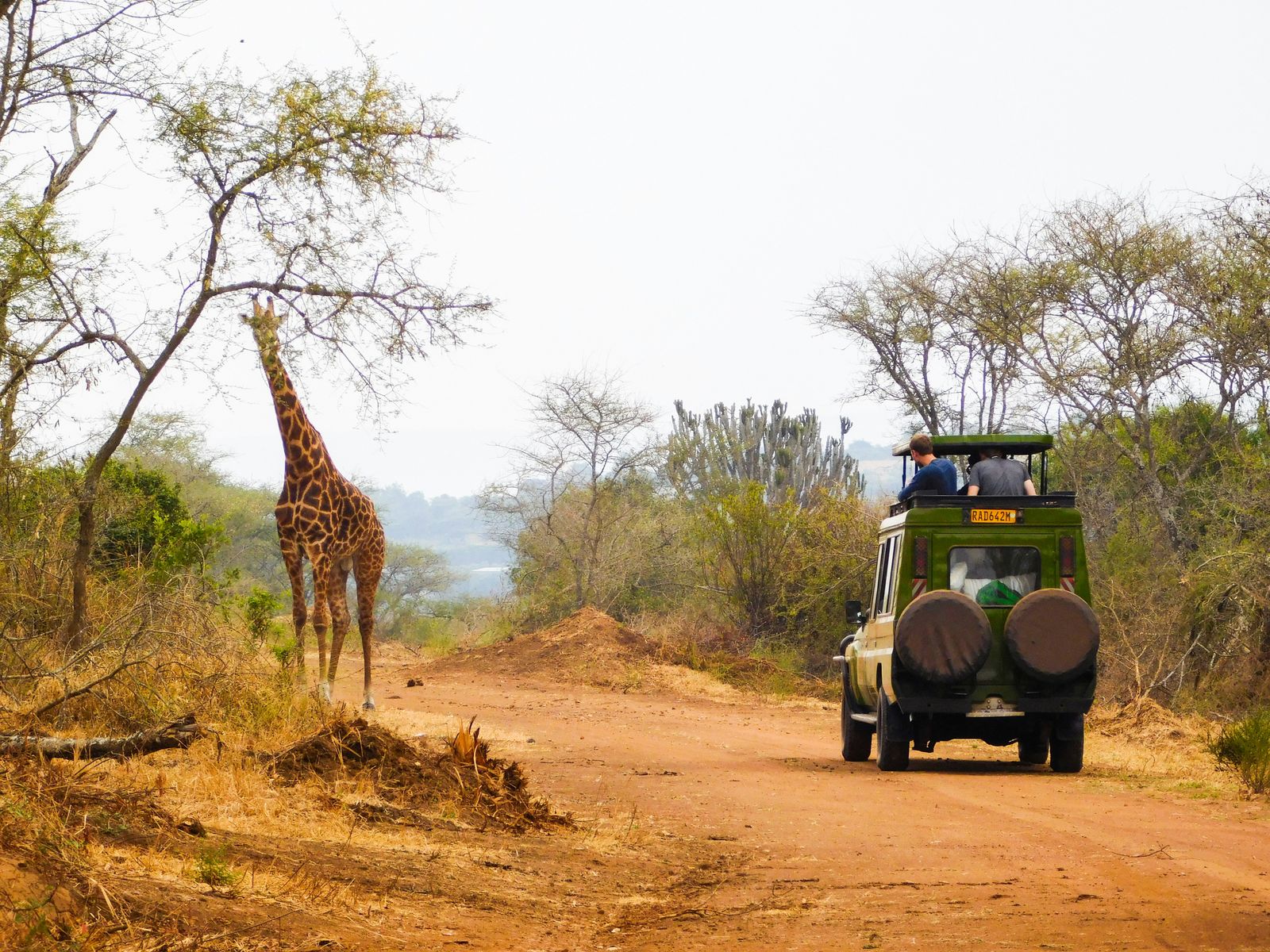 Rwanda Hoogtepunten – Land van de Duizend Heuvels