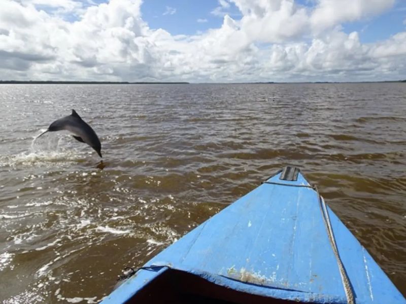 Switi Suriname & Dushi Curaçao