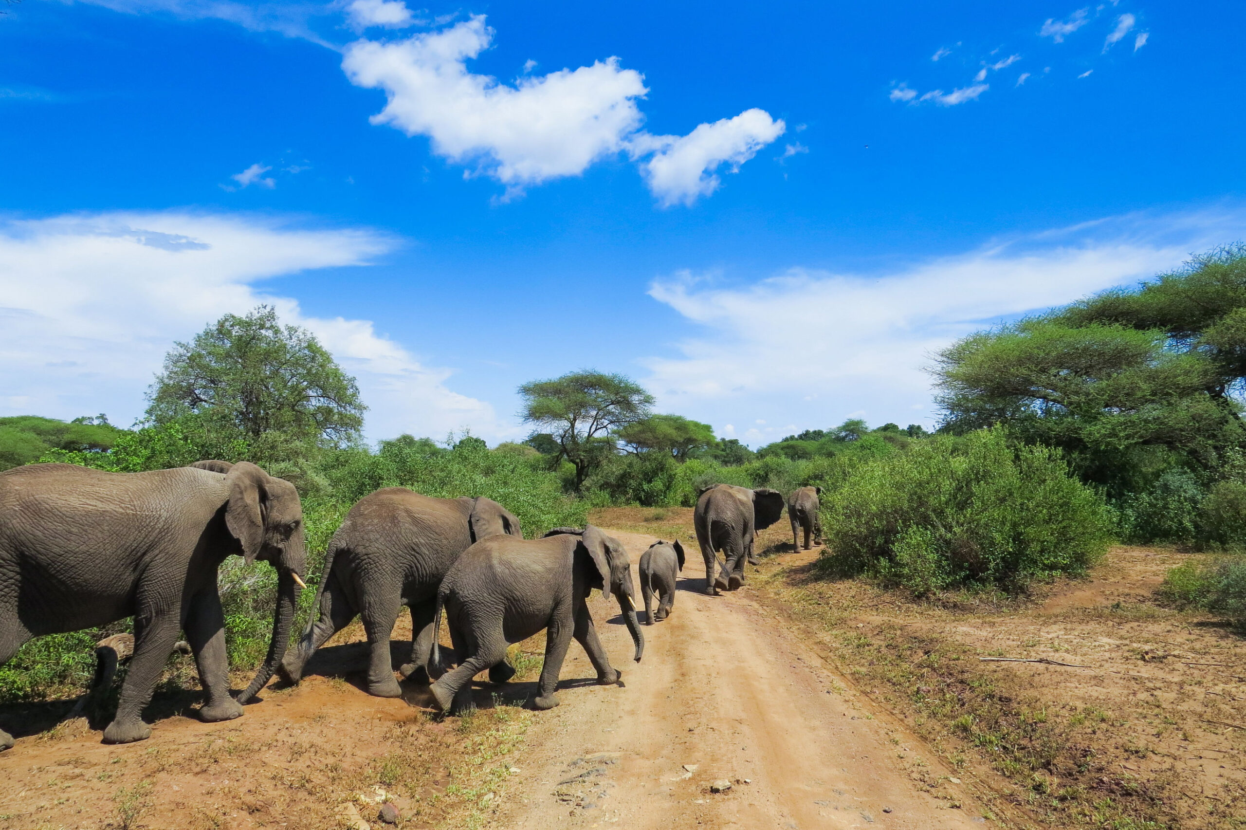 Tanzania met kinderen