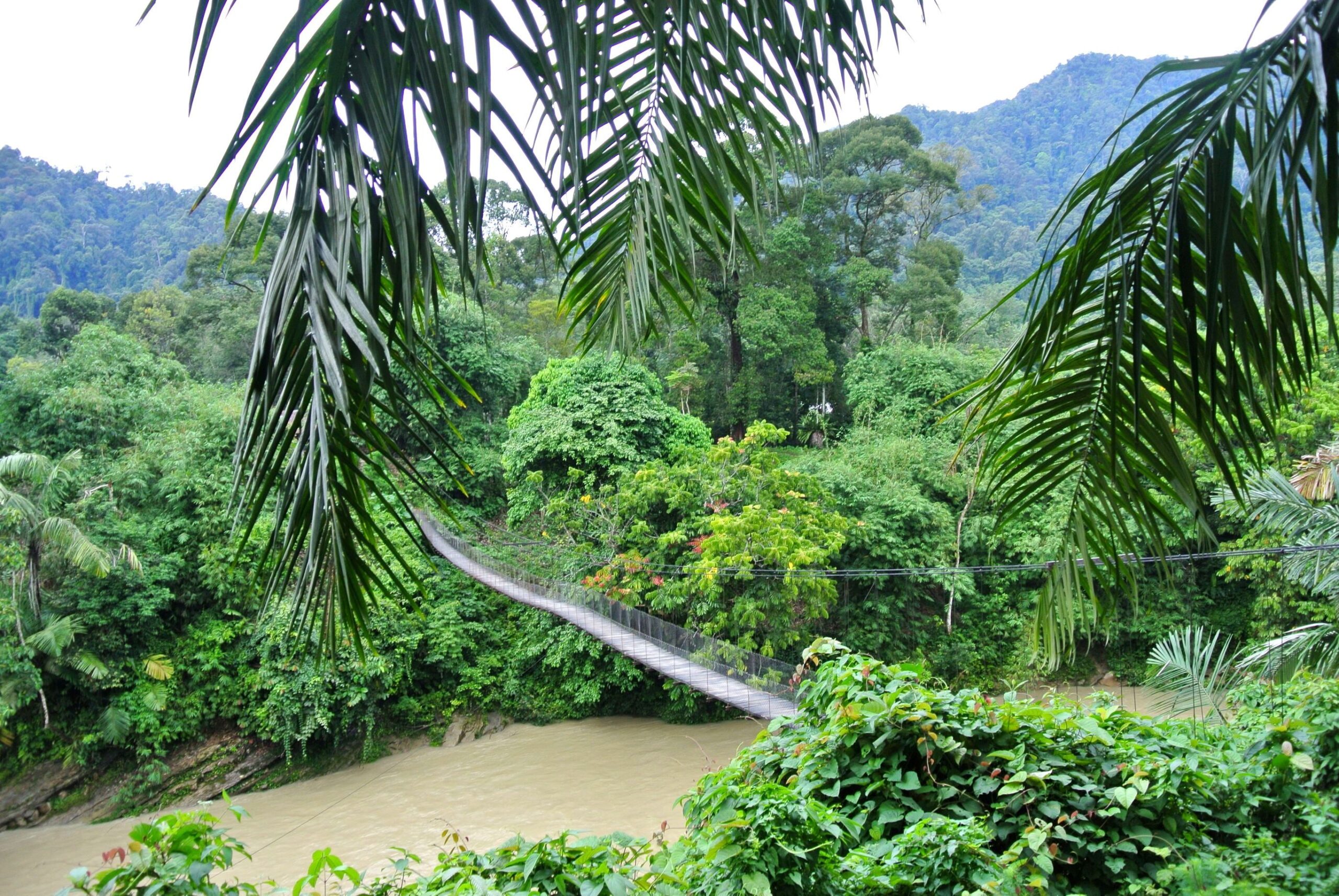 Avontuurlijk Sumatra en relaxt Langkawi